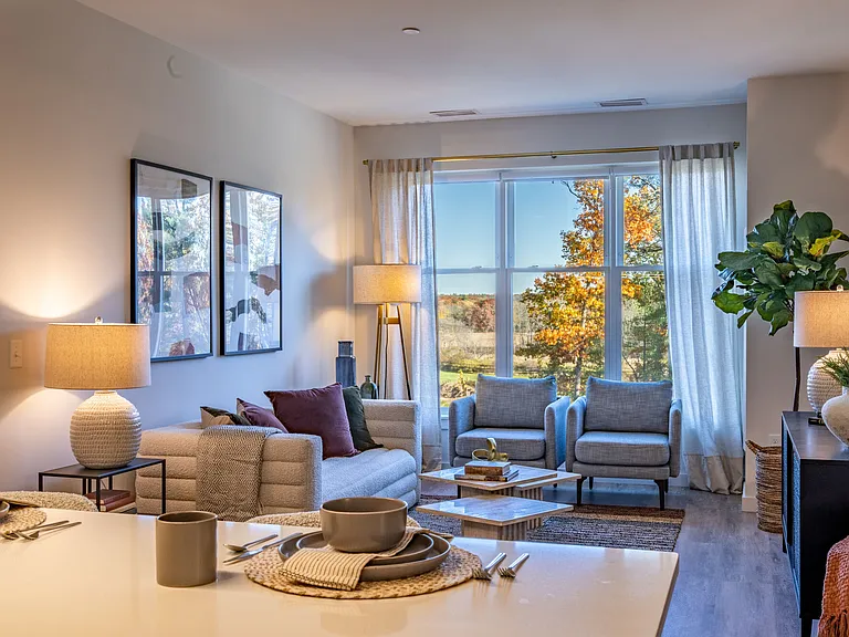 Living Room With Natural Light