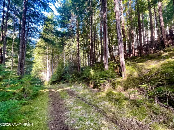 TRACT 1 Nanny Bay Rd, Ketchikan, AK 99950