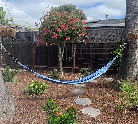This photo is taken from backyard where the patio furniture is located. Hammock included.