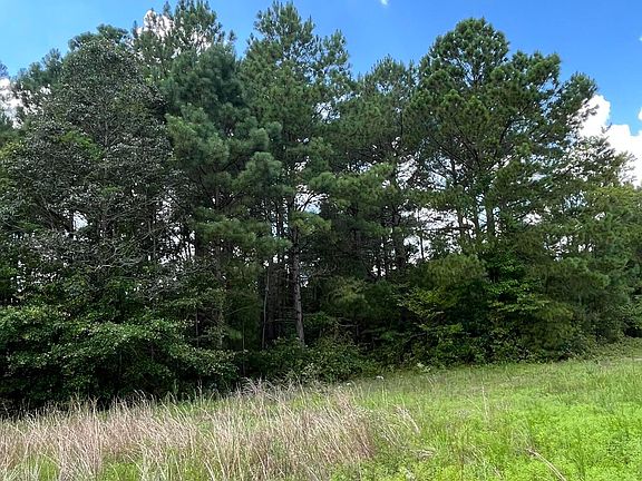 3rd image of 0 Lewis Drive