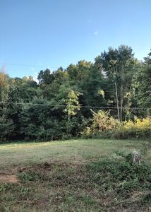 E Ellis Ln, Mount Carmel, TN, 37645