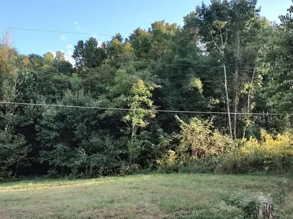 E Ellis Ln, Mount Carmel, TN 37645