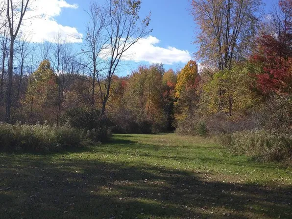 00 Laird Lake Rd, Hale, MI 48739