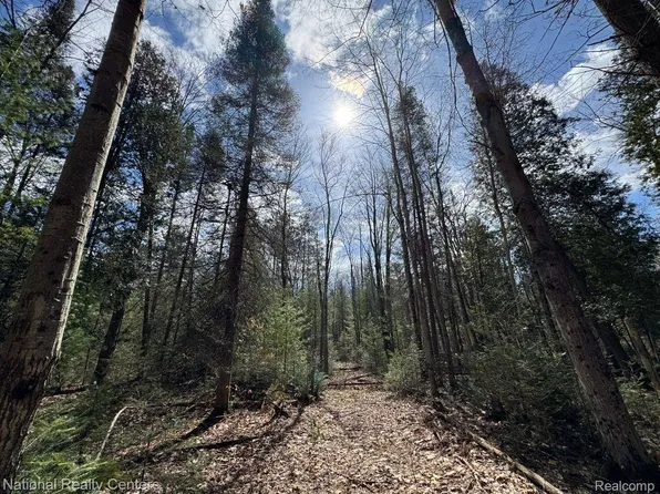 4233 Hardacre Trl, Houghton Lake, MI 48629