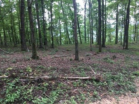5th image of 704 Stoneclift Dr