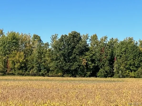 0 Gill Rd #46, Gasport, NY 14067