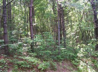 Twin Lks, Blue Ridge, GA 30513