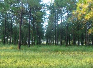 16736 Artimino Loop, Montverde, FL 34756