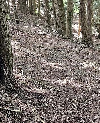 4th image of 0 Lafayette Rd