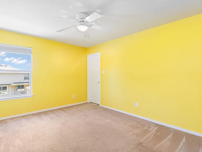 714 Celosia — Photo 9
