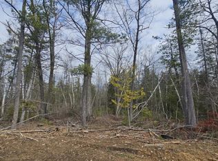 Lake Winyah Rd, Alpena, MI 49707