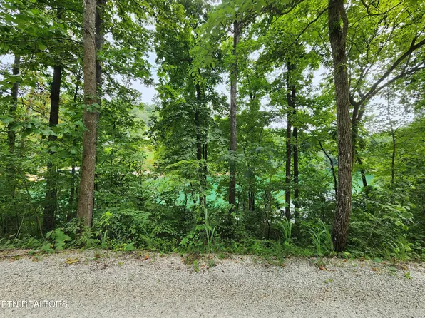 Carp Ln, La Follette, TN 37766