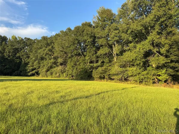 359 Old Barnes Rd, Mathews, AL 36052