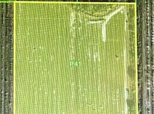 46310 Neal RD, PUNTA GORDA, FL 33982