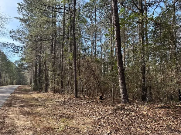 0B Browns Bridge Rd, Hattiesburg, MS 39401