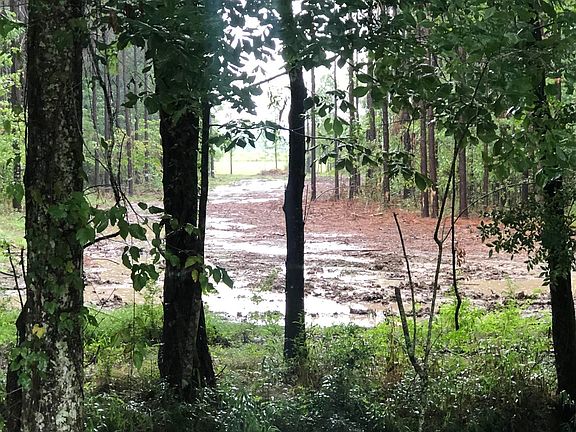 3rd image of Huggins Ln