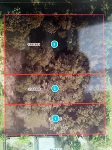 Westward Ho Ave LOT 1, Sorrento, FL, 32776