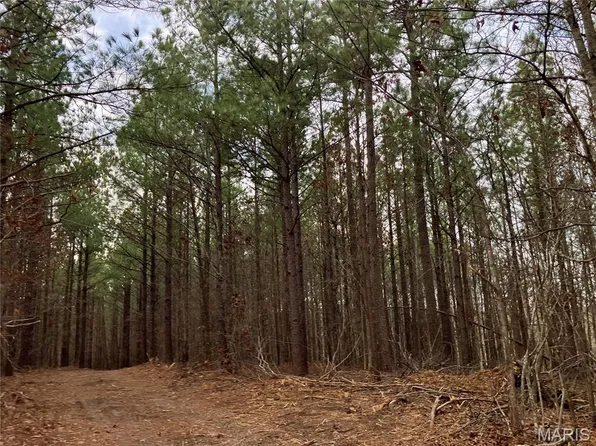 210 Madison St #410, Fredericktown, MO 63645