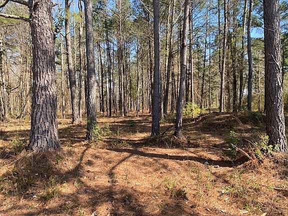 2nd image of LOT 2C Grand National Pkwy