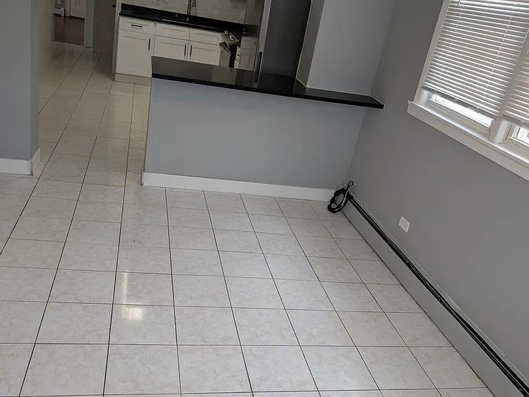 7041 W Addison St #2R — Photo 13