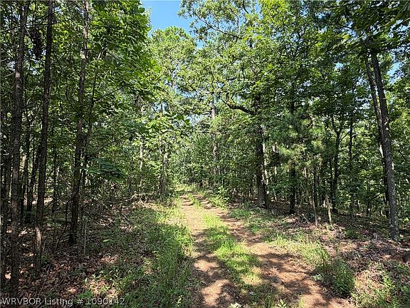 3rd image of Buffalo Mountain Rd