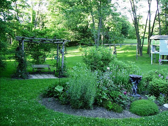 View of back yard