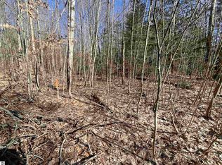 Tower Rd NE, Kalkaska, MI 49646