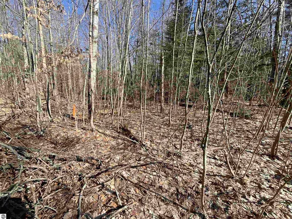 Tower Rd NE, Kalkaska, MI 49646
