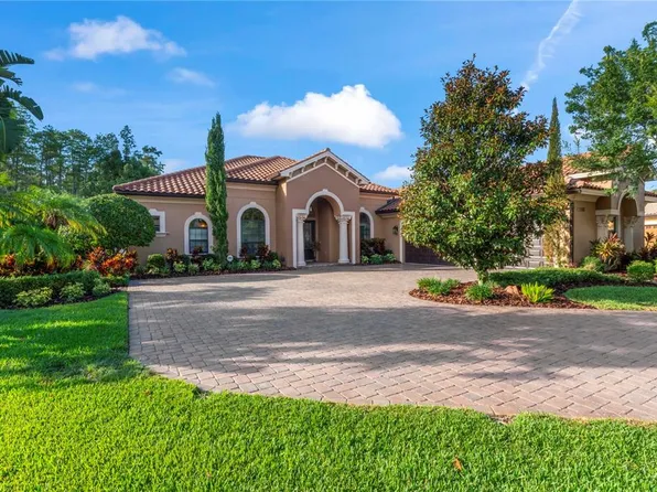 17303 San Aringo Pl, Lutz, FL 33548