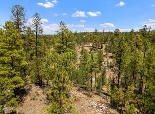 2975 Canary Ln, Heber, AZ 85928