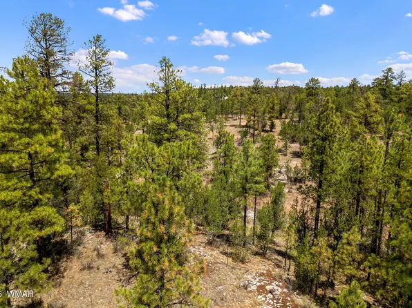 2975 Canary Ln, Heber, AZ 85928