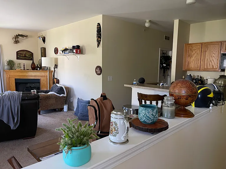 474 Village Dr — Photo 11