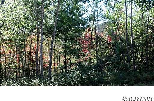 4th image of 0 Little Bass Lake. (Tract 8218) Road