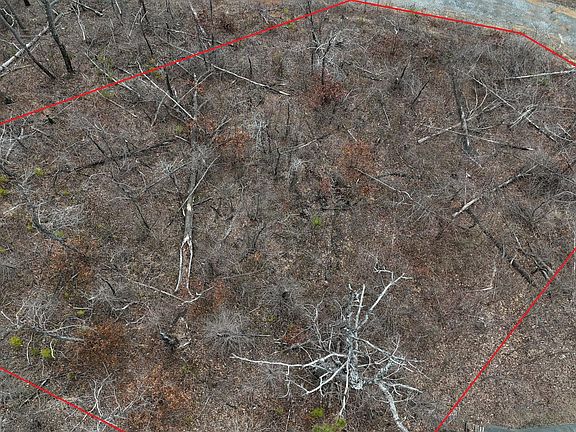 17th image of this home