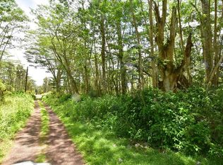 Pahoa Rd, Pahoa, HI 96778