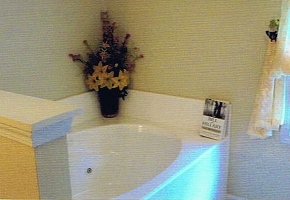 Jacuzzi in Master Bedroom