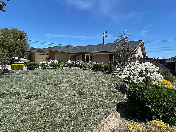 drought resistant yard!