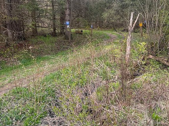 3rd image of Bramley Mountain Rd