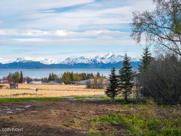 Crested Crane St, Homer, AK 99603