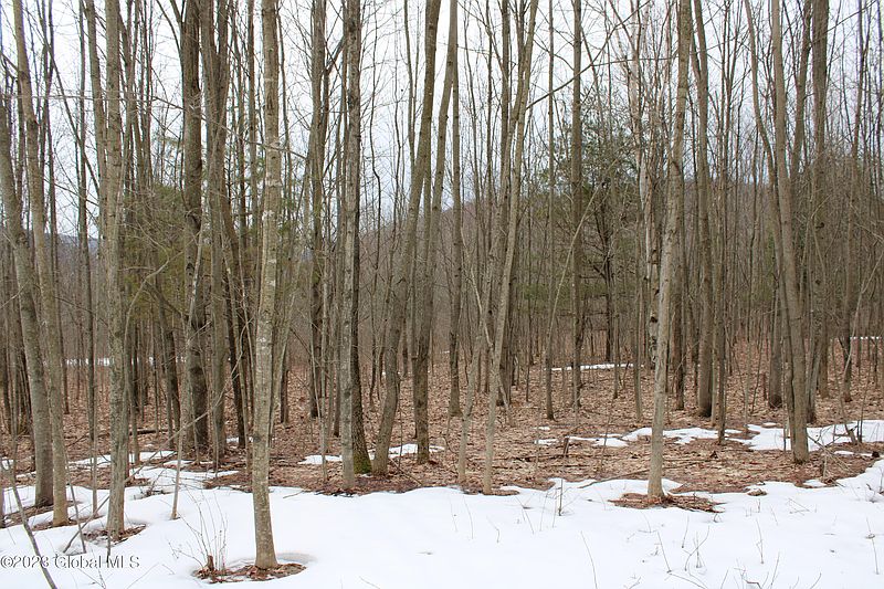 2nd image of 279 McCarthy Road Road