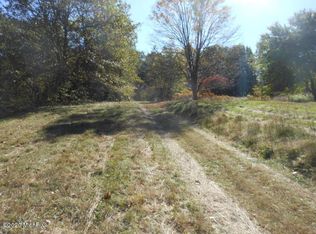 7234 True Rd, Berrien Springs, MI 49103