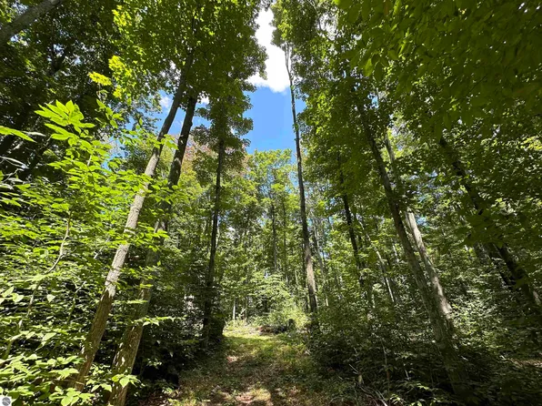 9738 Trail 21, Mancelona, MI 49659