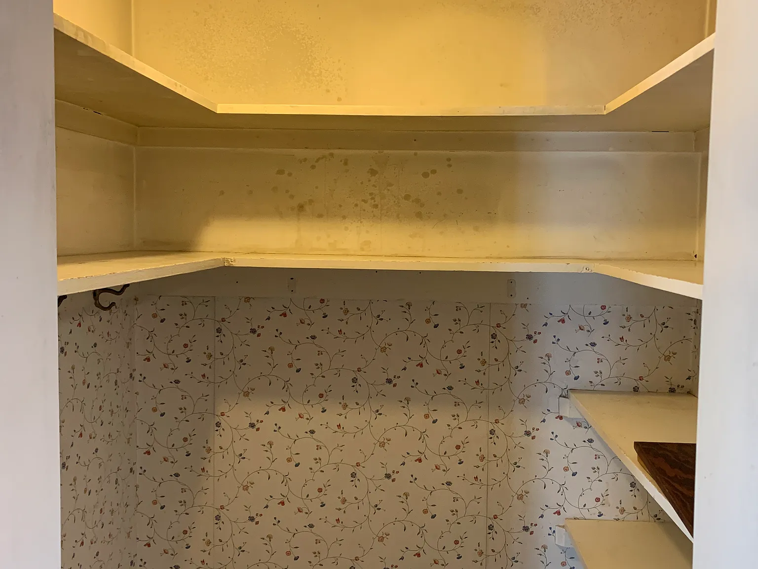 2 bed, 900 sqft, $500 — Photo 2