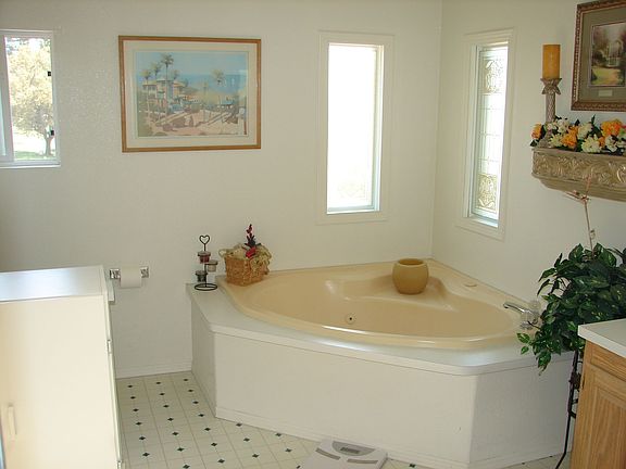 Master Bathroom with Jacuzzi Tub
