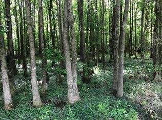 Echola Rd, Elrod, AL 35458