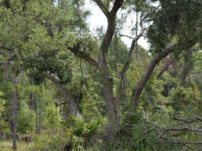 0 Lagrange Rd, Freeport, FL, 32439