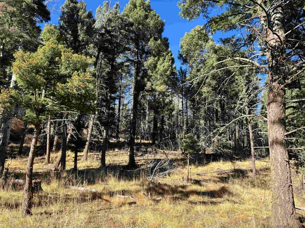 LOT 1490 Royal Ave, Angel Fire, NM 87710