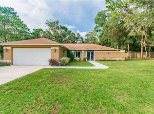 13237 Hazelcrest St, Spring Hill, FL 34609