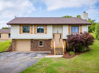 480 Old Hickory Cir, Mt Carmel, TN 37645