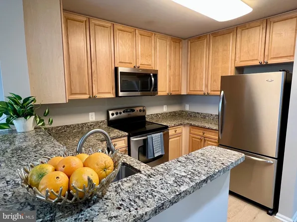 11700 Old Georgetown Rd Unit 303, North Bethesda, MD 20852